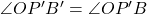 \angle OP'B' = \angle OP'B