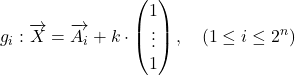 \[g_i : \overrightarrow{X} = \overrightarrow{A_i} + k \cdot \begin{pmatrix} 1 \\ \vdots \\ 1 \end{pmatrix}, \quad (1 \leq i \leq 2^n)\]