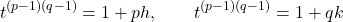 \[t^{(p-1)(q-1)}=1+ph, \qquad t^{(p-1)(q-1)}=1+qk\]