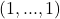 (1, . . . ,1)