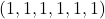 (1,1,1,1,1,1)