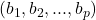 (b_1, b_2, ..., b_p)