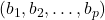(b_1, b_2, \ldots, b_p)