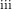 ^{\text{iii}}
