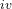 ^{iv}