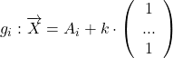 g_i : \overrightarrow{X} = \overrigharrow{A_i} + k \cdot \left( \begin{array}{c} 1 \\ ... \\ 1 \end{array} \right)