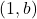 (1,b)