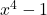 x^4 - 1