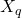 X_q