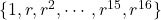\{1, r, r^2, \cdots, r^{15}, r^{16}\}
