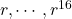 r, \cdots, r^{16}