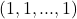 (1, 1, ..., 1)