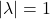 |\lambda|=1